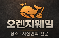 오렌지웨일 로고